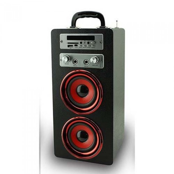 Pure Acoustics MCP-20BL Portable karaoke systeem met bluetooth  USB  SD en FM radio