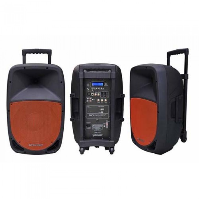Pure Acoustics PMW1212 Portable bluetooth entertainment systeem met opname functie
