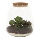DeBlock Plant Puzzle Discover the World Ecosysteem - 25 cm DeBlock Plant Puzzle Discover the World Ecosysteem - 25 cm