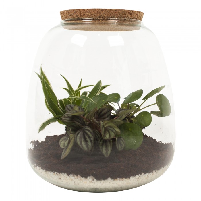 DeBlock Plant Puzzle Discover the World Ecosysteem - 25 cm DeBlock Plant Puzzle Discover the World Ecosysteem - 25 cm