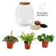 DeBlock Plant Puzzle Discover the World Ecosysteem - 25 cm DeBlock Plant Puzzle Discover the World Ecosysteem - 25 cm