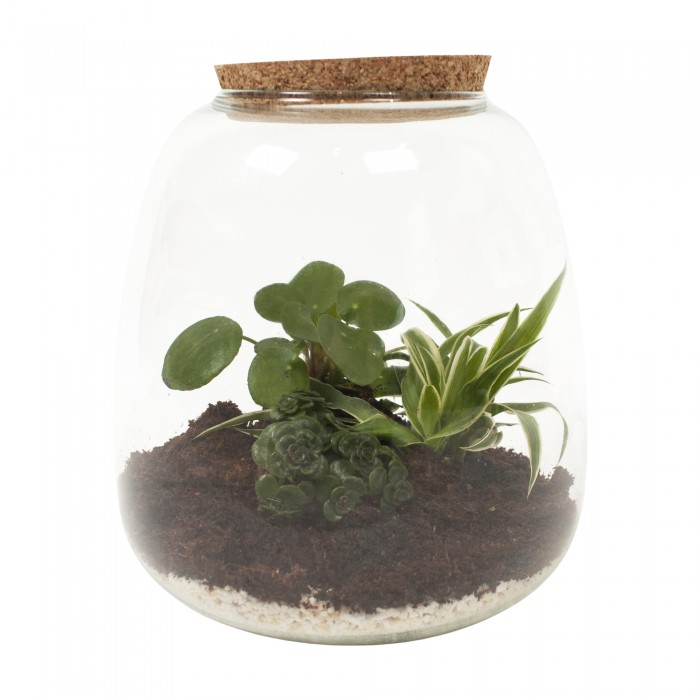 DeBlock Plant Puzzle Discover the World Ecosysteem - 25 cm DeBlock Plant Puzzle Discover the World Ecosysteem - 25 cm