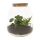 DeBlock Plant Puzzle Discover the World Ecosysteem - 25 cm DeBlock Plant Puzzle Discover the World Ecosysteem - 25 cm