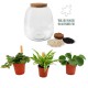 DeBlock Plant Puzzle Discover the World Ecosysteem - 25 cm DeBlock Plant Puzzle Discover the World Ecosysteem - 25 cm
