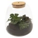 DeBlock Plant Puzzel Discover the World Ecosysteem met verlichting - 25 cm DeBlock Plant Puzzel Discover the World Ecosysteem met verlichting - 25 cm