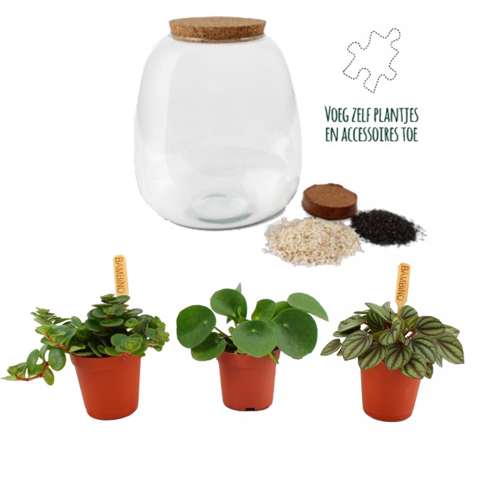 DeBlock Plant Puzzel Discover the World Ecosysteem met verlichting - 25 cm DeBlock Plant Puzzel Discover the World Ecosysteem met verlichting - 25 cm