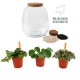 DeBlock Plant Puzzel Discover the World Ecosysteem met verlichting - 25 cm DeBlock Plant Puzzel Discover the World Ecosysteem met verlichting - 25 cm