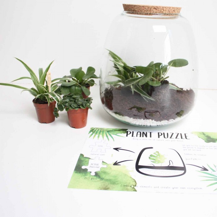 DeBlock Plant Puzzel Discover the World Ecosysteem met verlichting - 25 cm DeBlock Plant Puzzel Discover the World Ecosysteem met verlichting - 25 cm