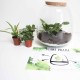 DeBlock Plant Puzzel Discover the World Ecosysteem met verlichting - 25 cm DeBlock Plant Puzzel Discover the World Ecosysteem met verlichting - 25 cm