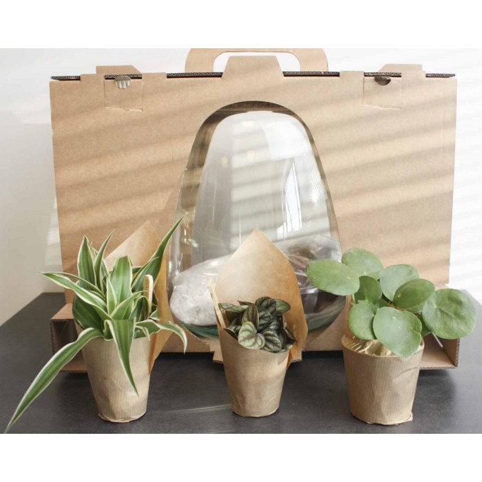 DeBlock Plant Puzzel Discover the World Ecosysteem met verlichting - 25 cm DeBlock Plant Puzzel Discover the World Ecosysteem met verlichting - 25 cm
