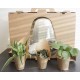 DeBlock Plant Puzzel Discover the World Ecosysteem met verlichting - 25 cm DeBlock Plant Puzzel Discover the World Ecosysteem met verlichting - 25 cm