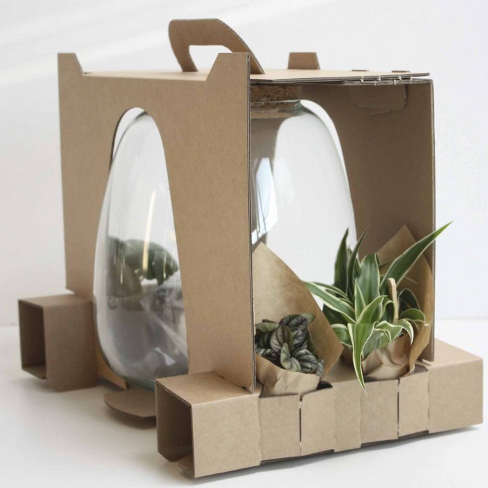 DeBlock Plant Puzzel Discover the World Ecosysteem met verlichting - 25 cm DeBlock Plant Puzzel Discover the World Ecosysteem met verlichting - 25 cm