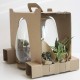 DeBlock Plant Puzzel Discover the World Ecosysteem met verlichting - 25 cm DeBlock Plant Puzzel Discover the World Ecosysteem met verlichting - 25 cm