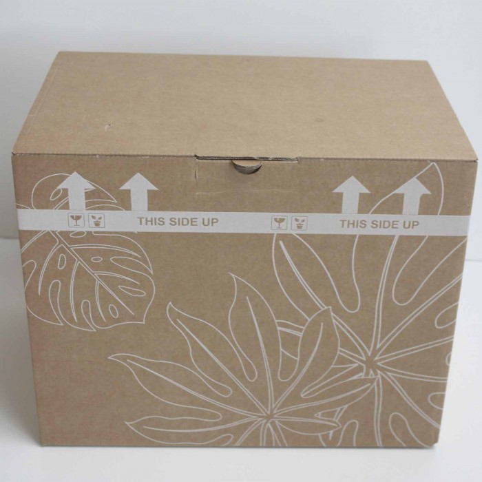 DeBlock Plant Puzzel Discover the World Ecosysteem met verlichting - 25 cm DeBlock Plant Puzzel Discover the World Ecosysteem met verlichting - 25 cm