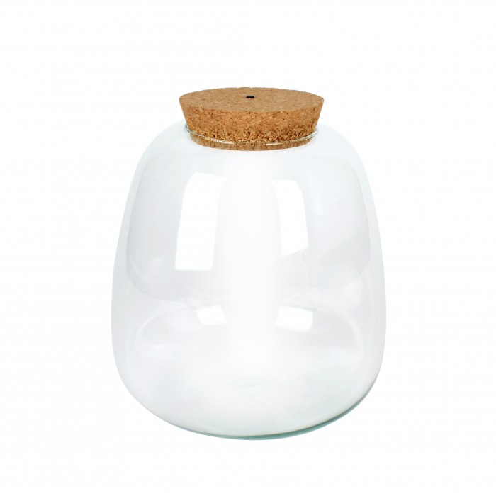 DeBlock Plant Puzzel Discover the World Ecosysteem met verlichting - 25 cm DeBlock Plant Puzzel Discover the World Ecosysteem met verlichting - 25 cm