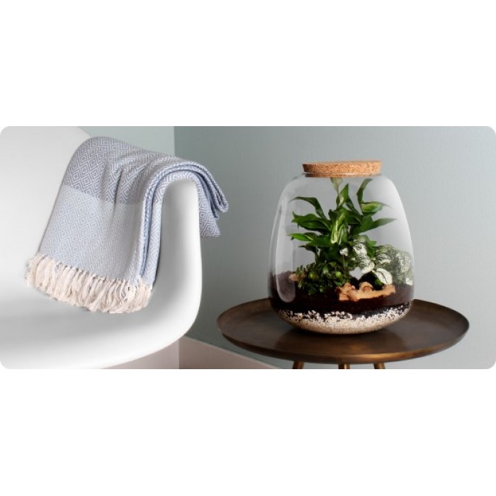 DeBlock Plant Puzzel Discover the World Ecosysteem met verlichting - 25 cm DeBlock Plant Puzzel Discover the World Ecosysteem met verlichting - 25 cm