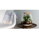 DeBlock Plant Puzzel Discover the World Ecosysteem met verlichting - 25 cm DeBlock Plant Puzzel Discover the World Ecosysteem met verlichting - 25 cm