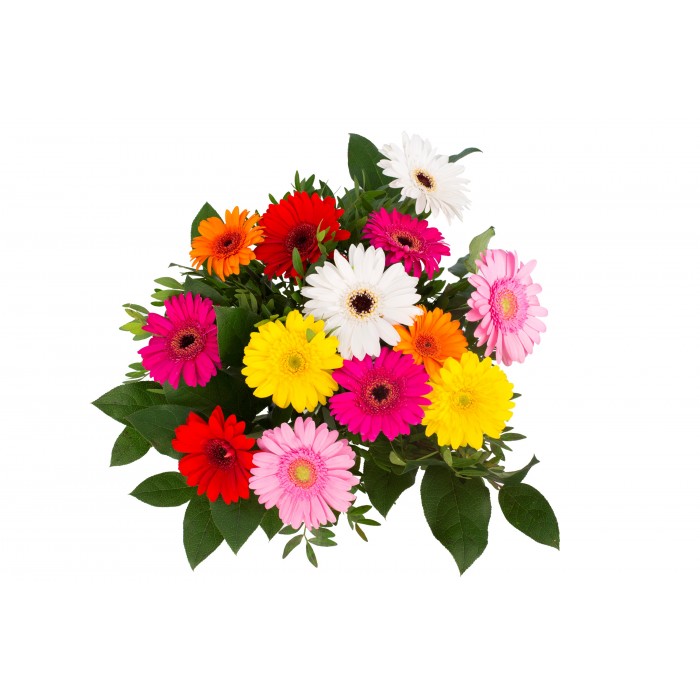 DeBlock Gerbo klein 12 gerbera's boeket - 55 cm DeBlock Gerbo klein 12 gerbera's boeket - 55 cm