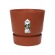 DeBlock Dracaena Warneckei in Elho Greenville pot rood - 120 cm DeBlock Dracaena Warneckei in Elho Greenville pot rood - 120 cm
