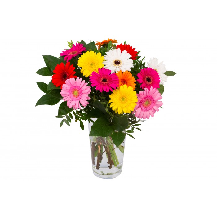 DeBlock Gerbo klein 12 gerbera's boeket - 55 cm DeBlock Gerbo klein 12 gerbera's boeket - 55 cm